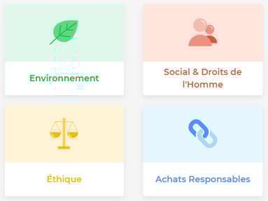 thématiques ecovadis FR